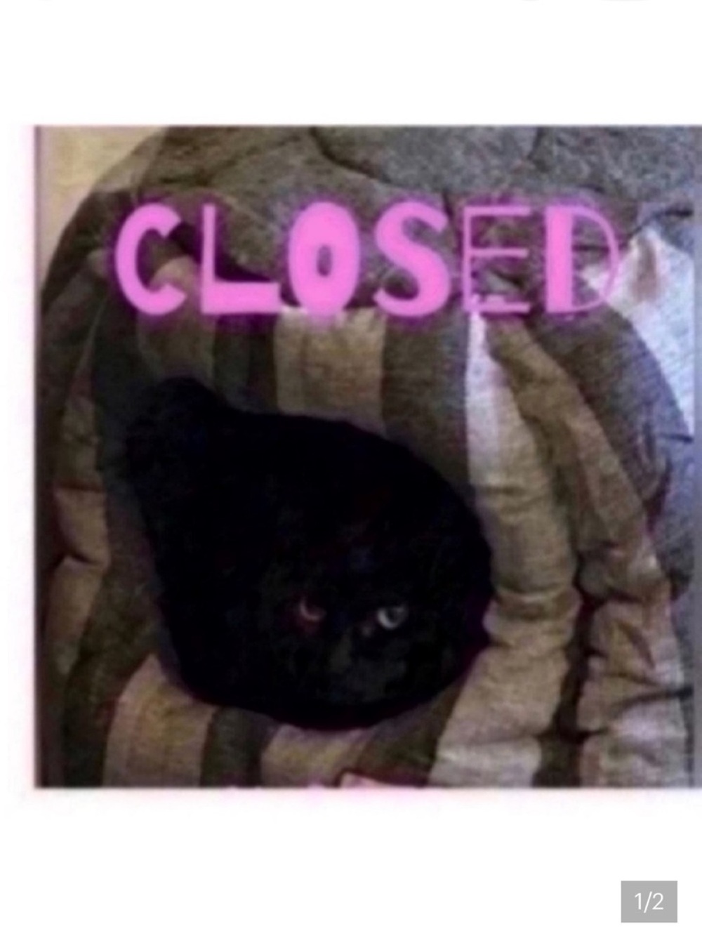 CLOSED 🐈⬛Pillows pick 5 - Picture 1 of 2